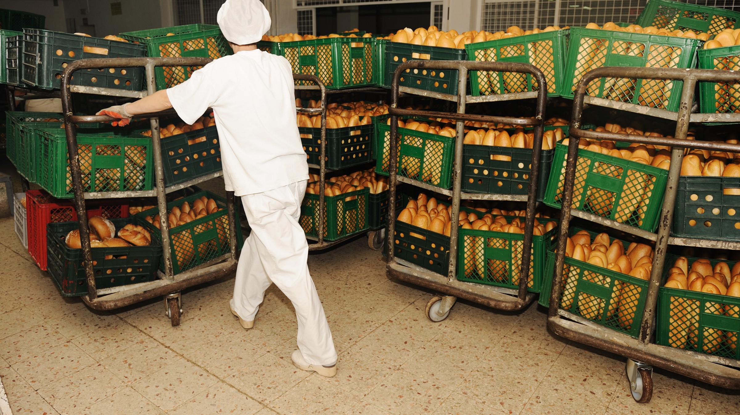 food producer